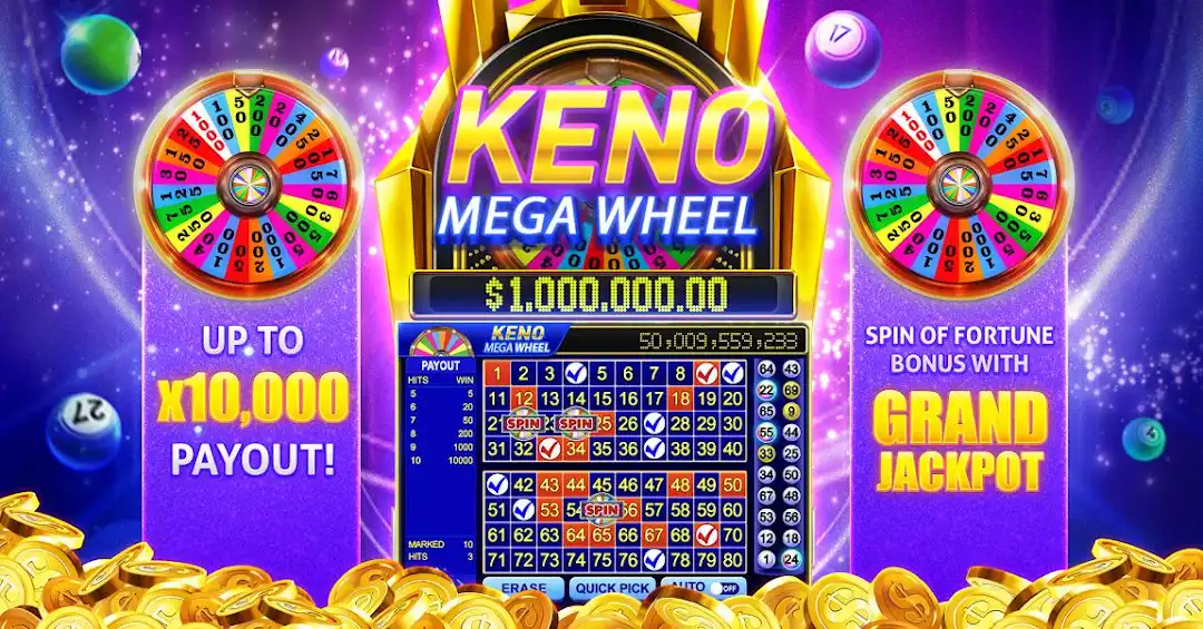 betapp 4play bet cassino Android